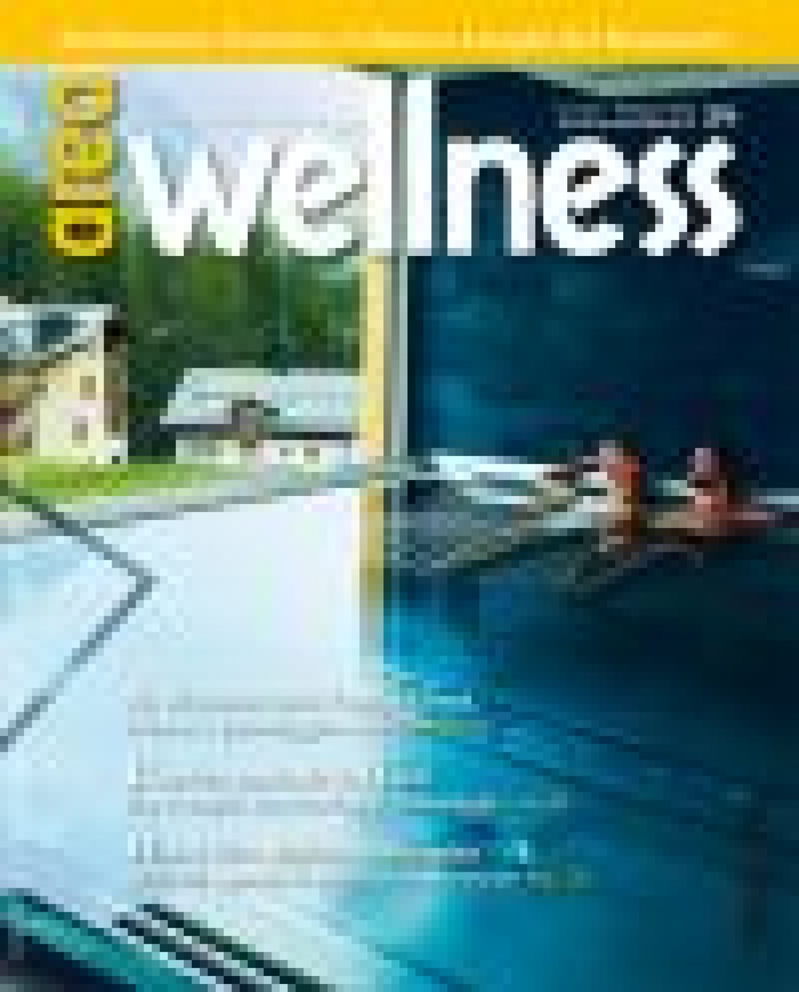  Area Wellness  - 2013-02-01: