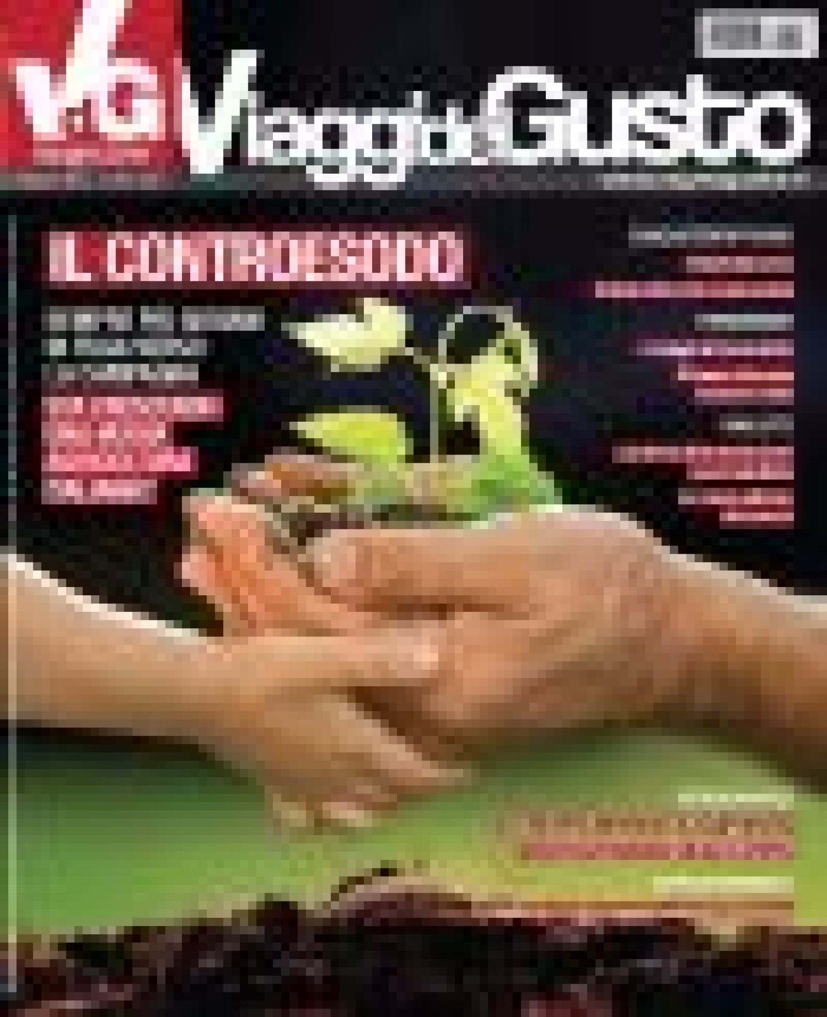 VDG-VIAGGI DEL GUSTO - 2013-01-01